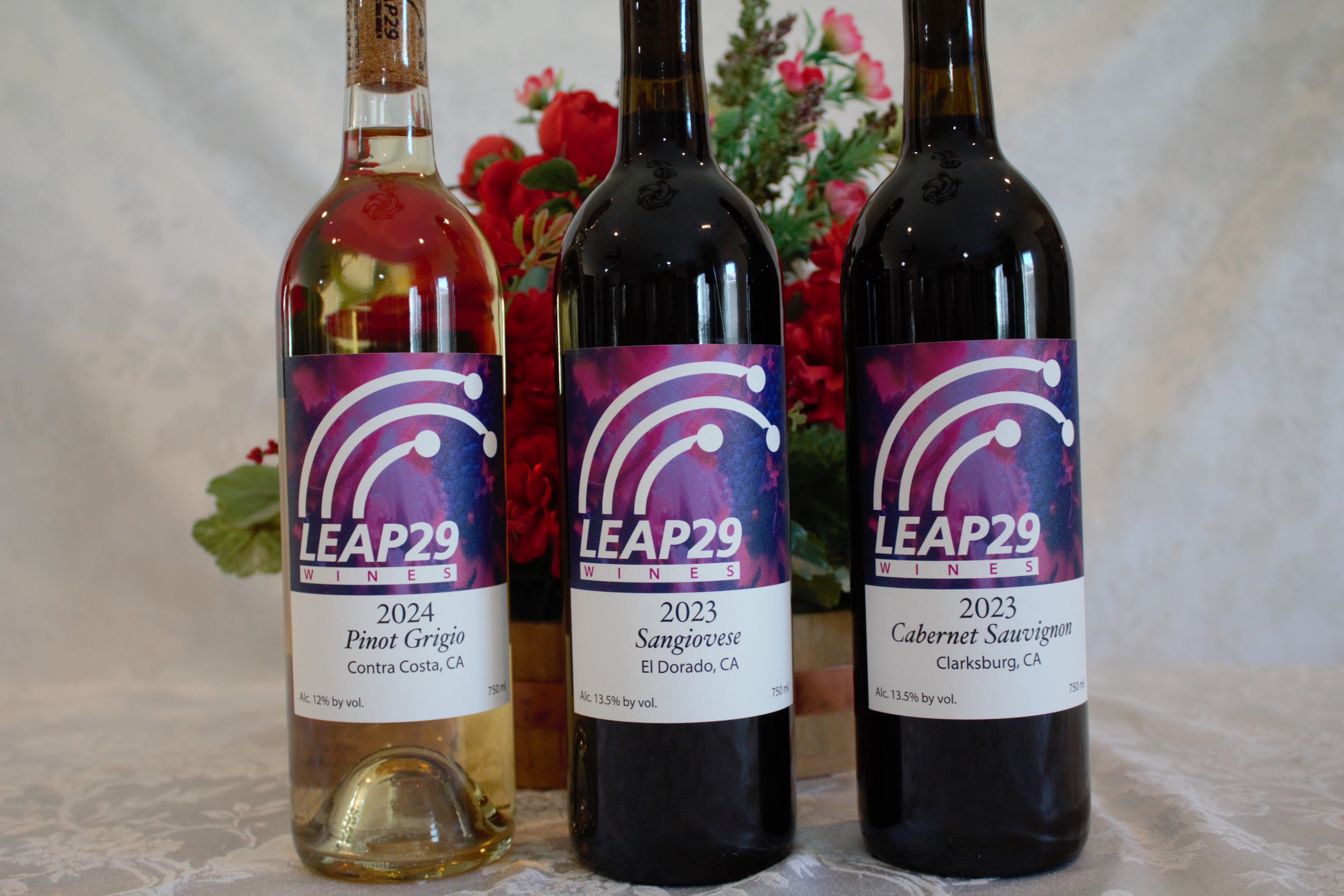 その他 LEAP Leap 29 Wines